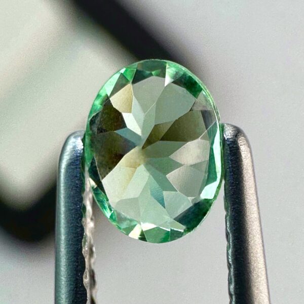 Grenat Menthe de Merelani - Naturel - 0,40 ct - RARE - 5 x 3,8 mm