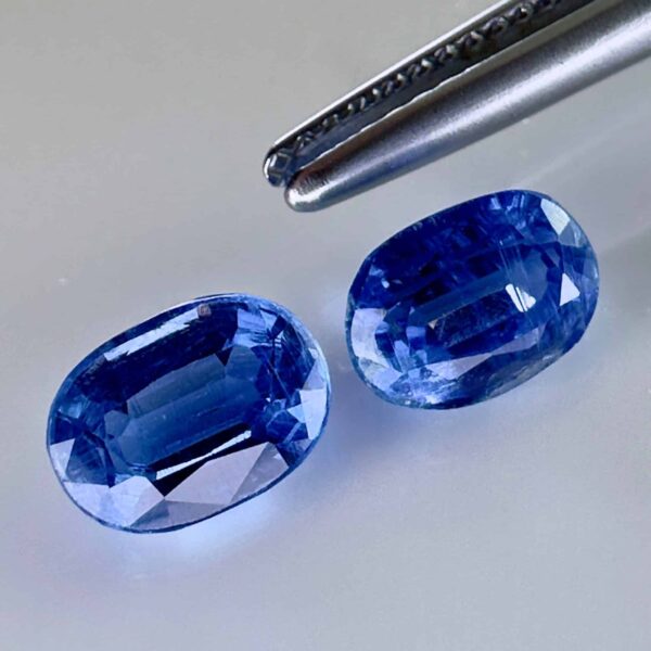 Discover the beauty of this pair of natural kyanite, renowned for its vibrant blue tones, ideal for refined earrings