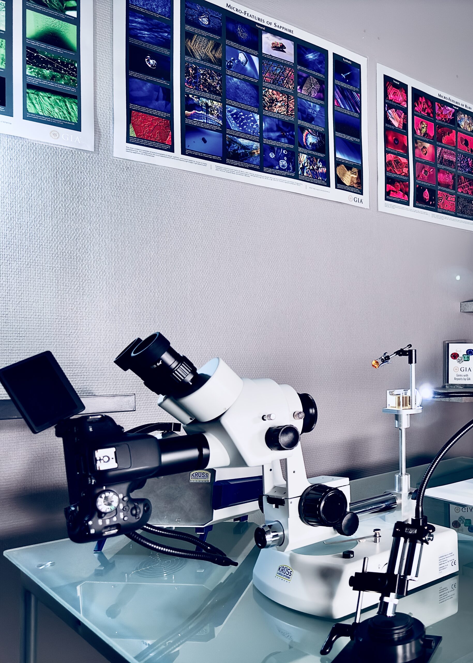 Immersion Zoom Microscope